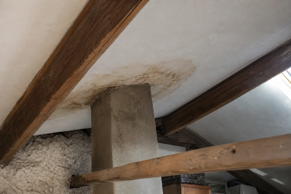 Auréole d&rsquo;humidité sur un plafond de combles sous une souche de cheminée, maison stéphanoise, lumière contrastée